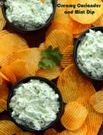 coriander and mint dip | Indian style coriander and mint dip |