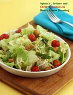 Spinach , Lettuce and Cherry Tomatoes in Honey Lemon Dressing recipe, Dinner Recipes