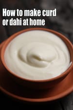 curd recipe | dahi recipe | how to make curd | homemade dahi |