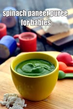 Spinach Paneer Puree recipe for Babies, Toddler, Palak Paneer Puree for Babies