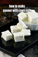 how to make paneer with cows milk recipe | cow milk paneer |