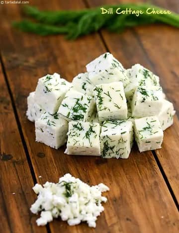 Dill Cottage Cheese Recipe (Healthy Recipes)