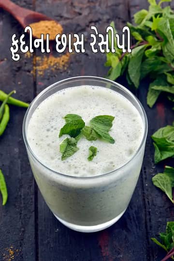 મિન્ટ ચાસ રેસીપી (સ્પાઈસી પંજાબી મિન્ટ ચાસ)
