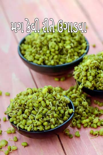 મગના ફણગા કેવી રીતે ફણગાવા (સ્વસ્થ મગના ફણગા)