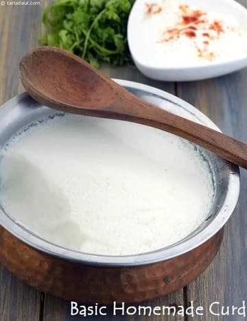 Basic Homemade Curd, Dahi Or Yogurt Using Cows Milk