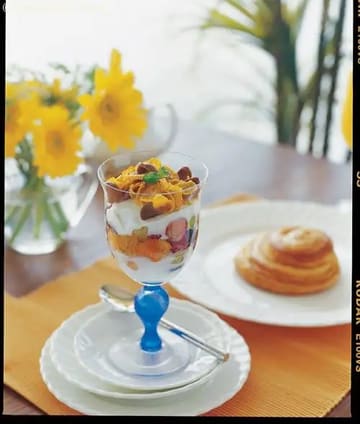 Fruity Youghurt Recipe