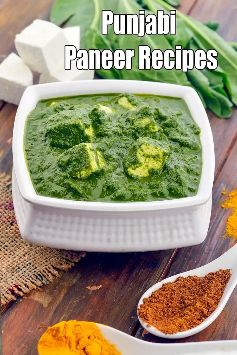 Punjabi palak paneer curry with soft paneer cubes in a creamy spinach gravy served in a white bowl with fresh spinach and spices.