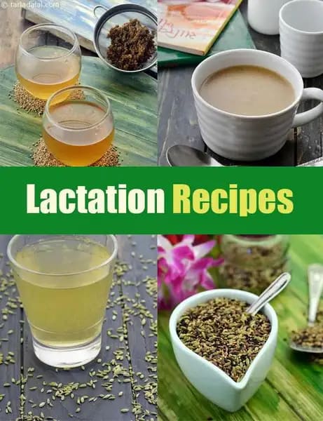 Lactation