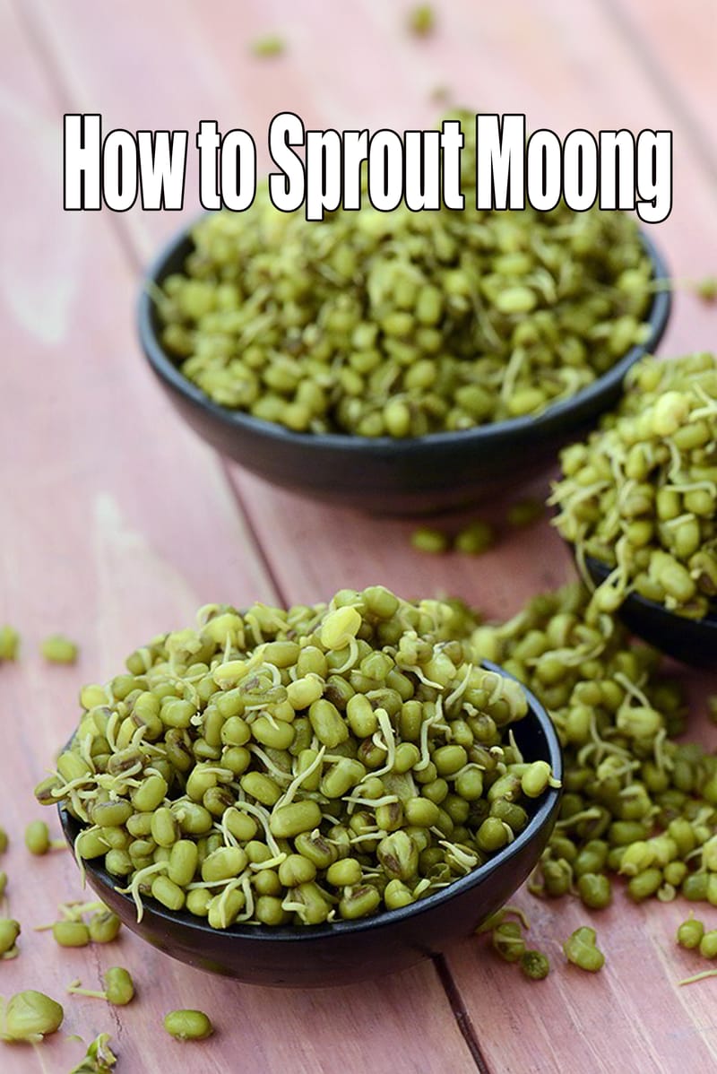 How to sprout moong | healthy mung beans sprouts | how to sprout mung beans at home | how to make sprouts | Tarla Dalal