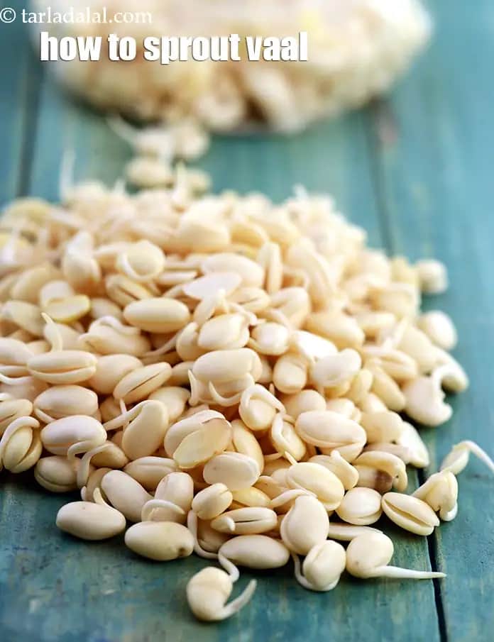 How To Sprout Vaal Recipe (Lima Beans)