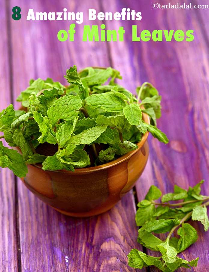 https://www.tarladalal.com/collections/benefits-of-mint-leaves-pudina.jpg