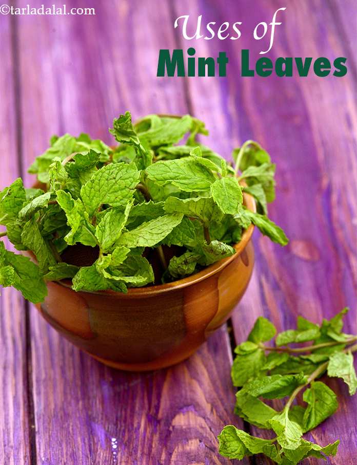 Top 15 Indian Mint, Pudina recipes, Pudina in Indian cooking + Recipes with mint  leaves