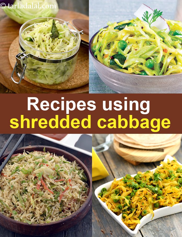 309 shredded cabbage recipes