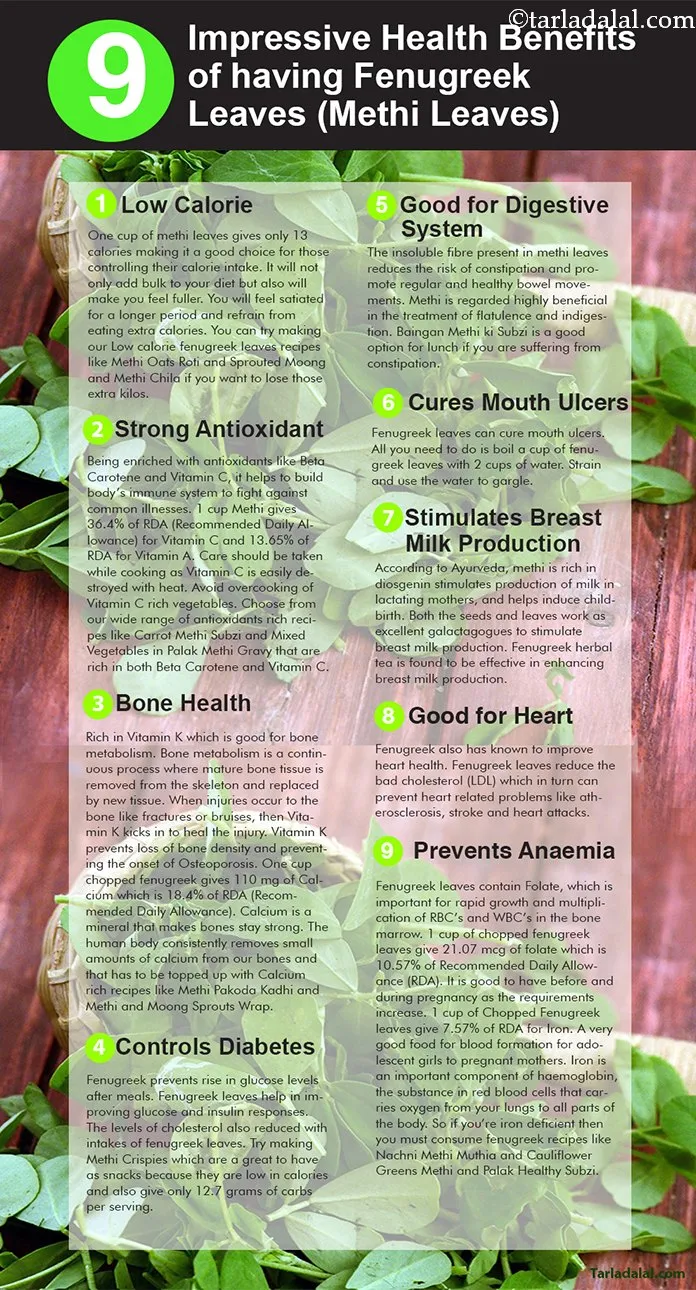9-Health-Benefits-of-having-Fenugreek-Leaves,-Methi-Leaves