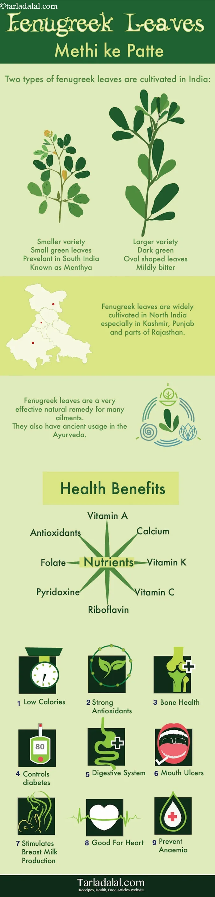 9-health-Benefits-of-Fenugreek-Leaves