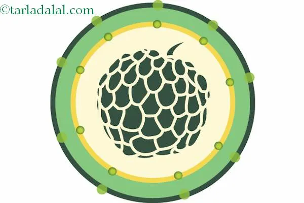 Custard-Apple-Reduces-Oxidative-Stress