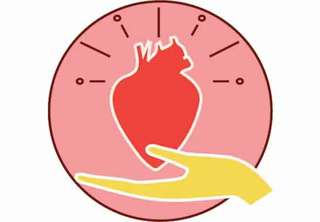 Fenugreek Seeds Promotes Cardiac Health