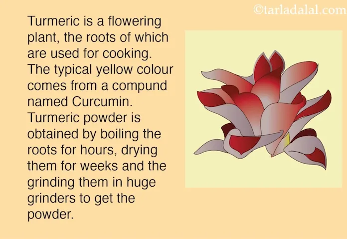 Turmeric-powder