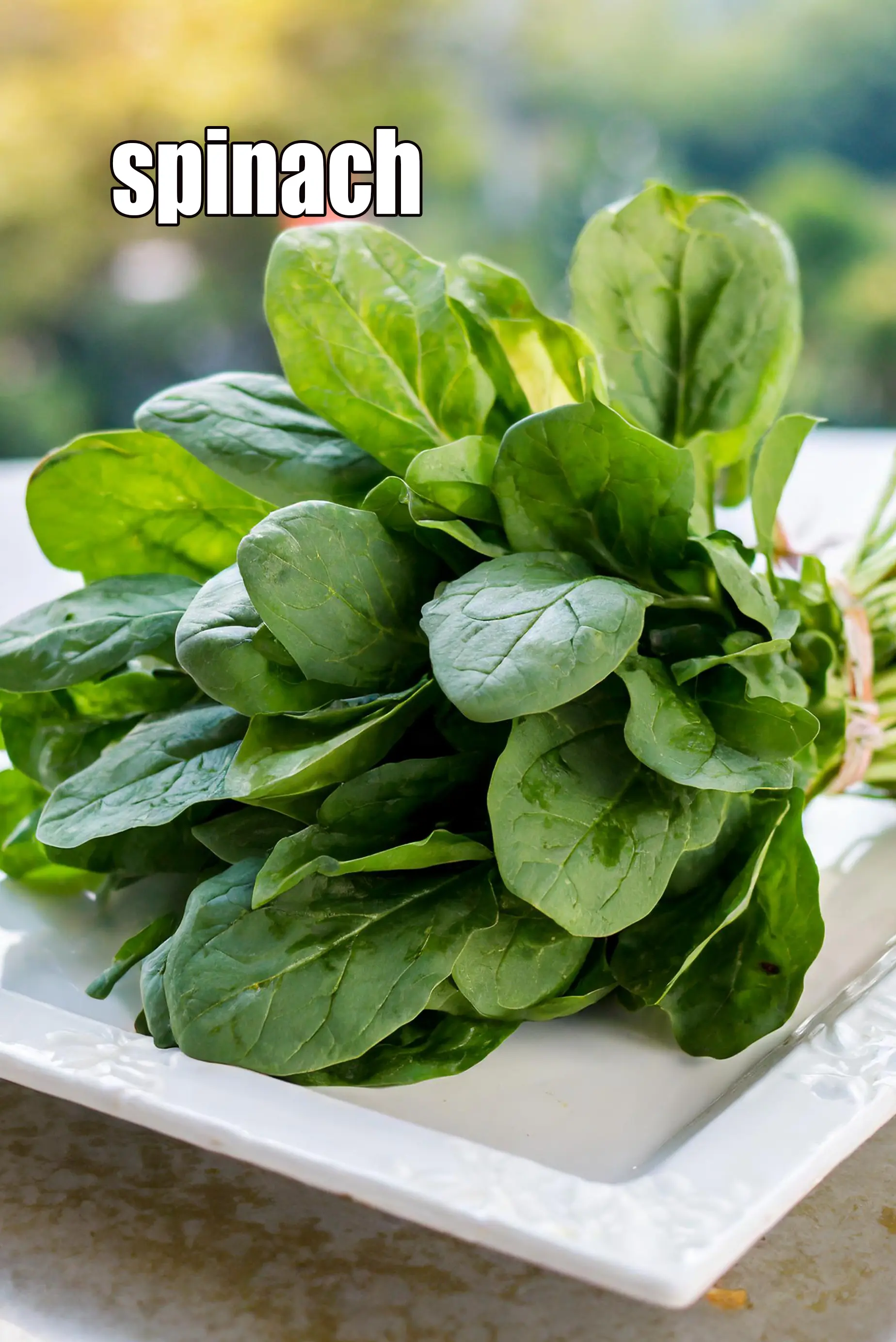 spinach
