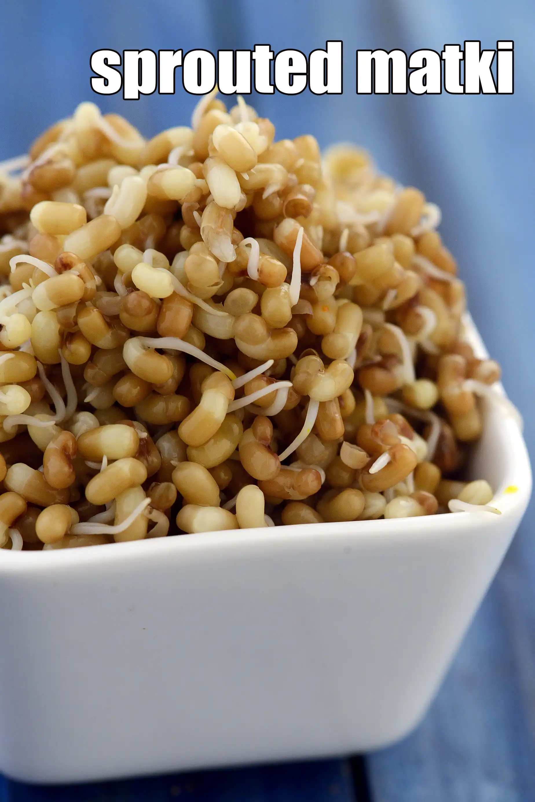 sprouted matki