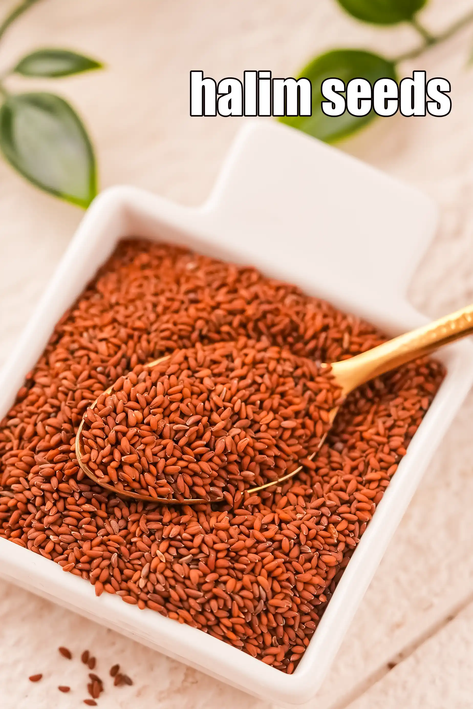 garden cress seeds