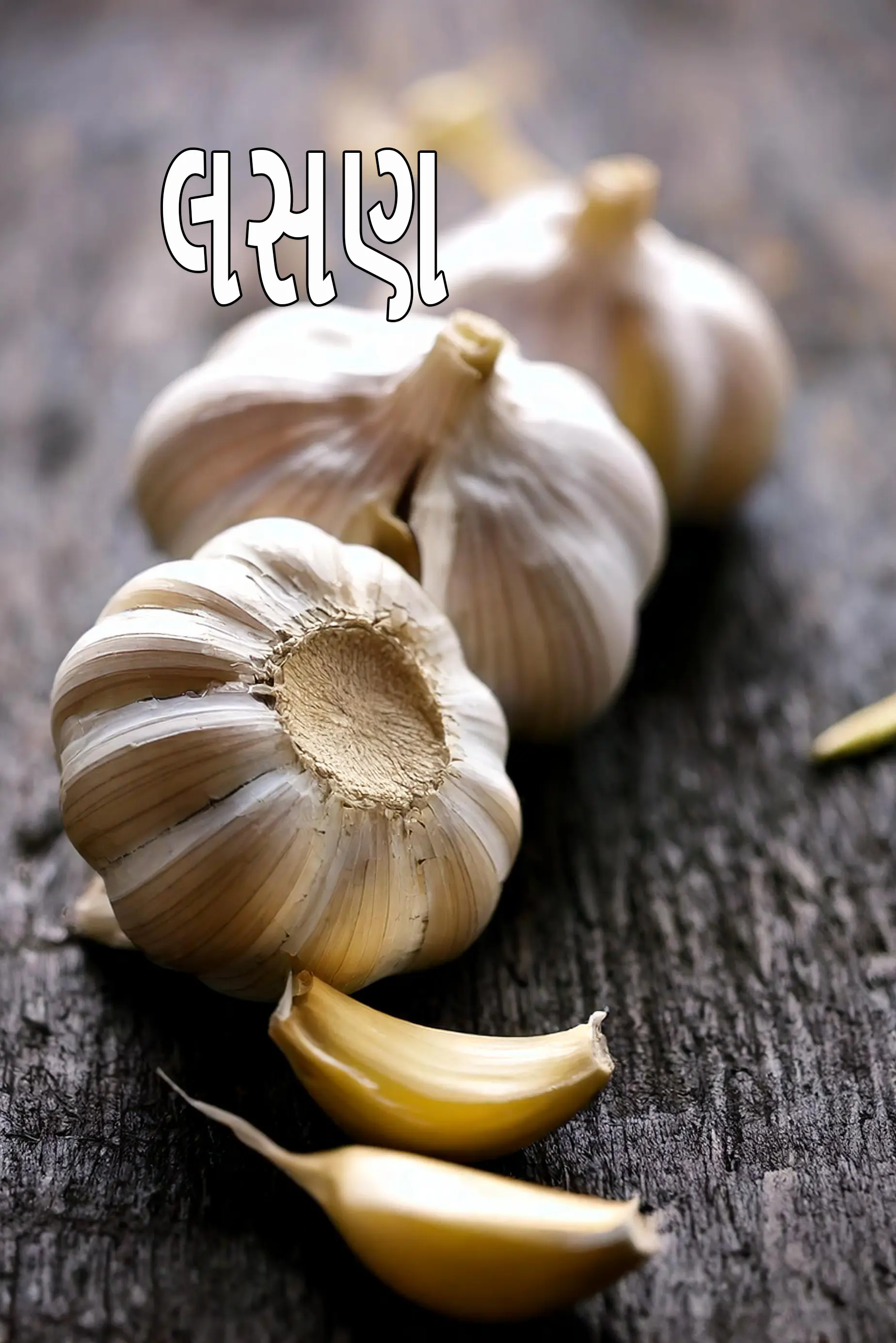 garlic