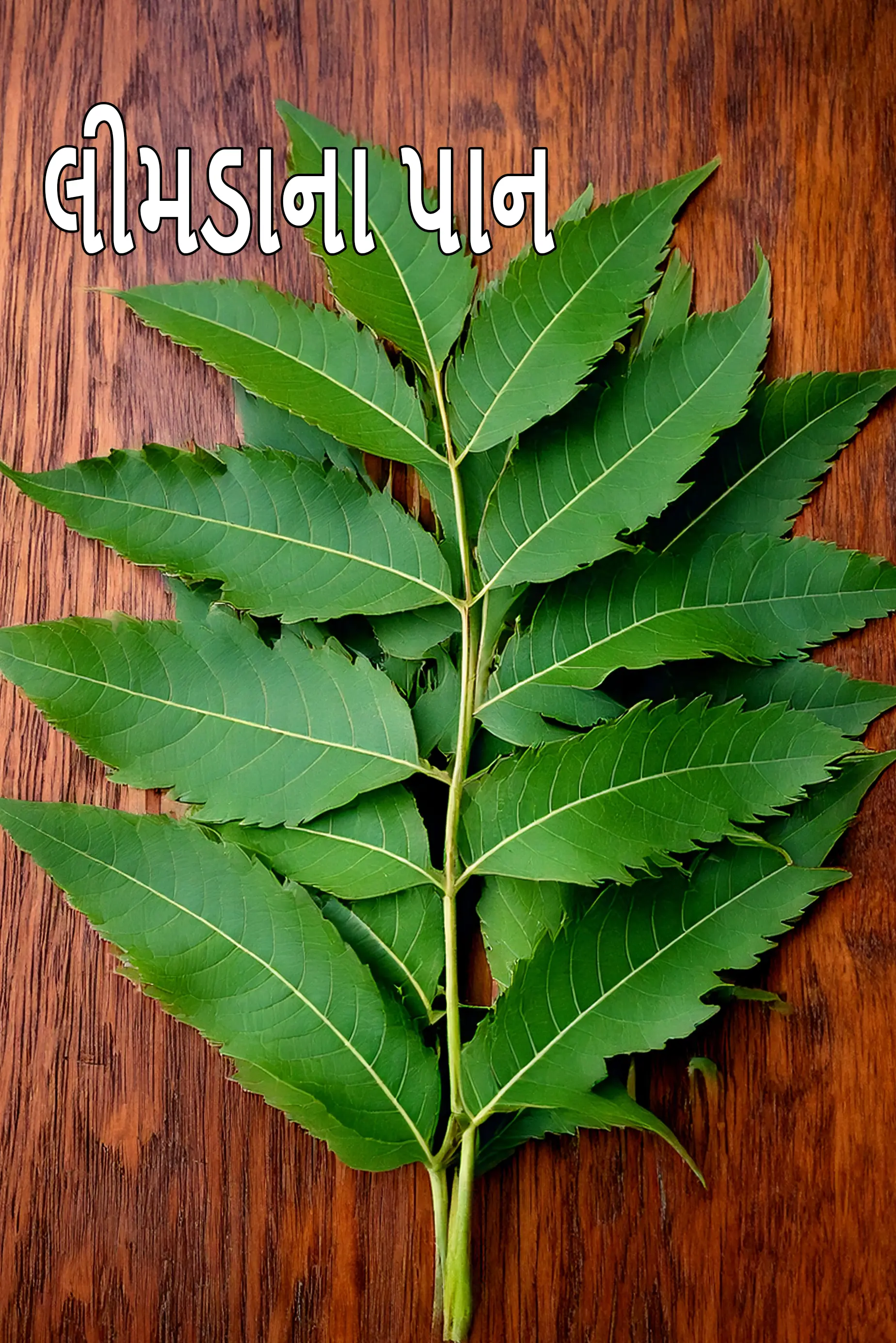 neem leaves