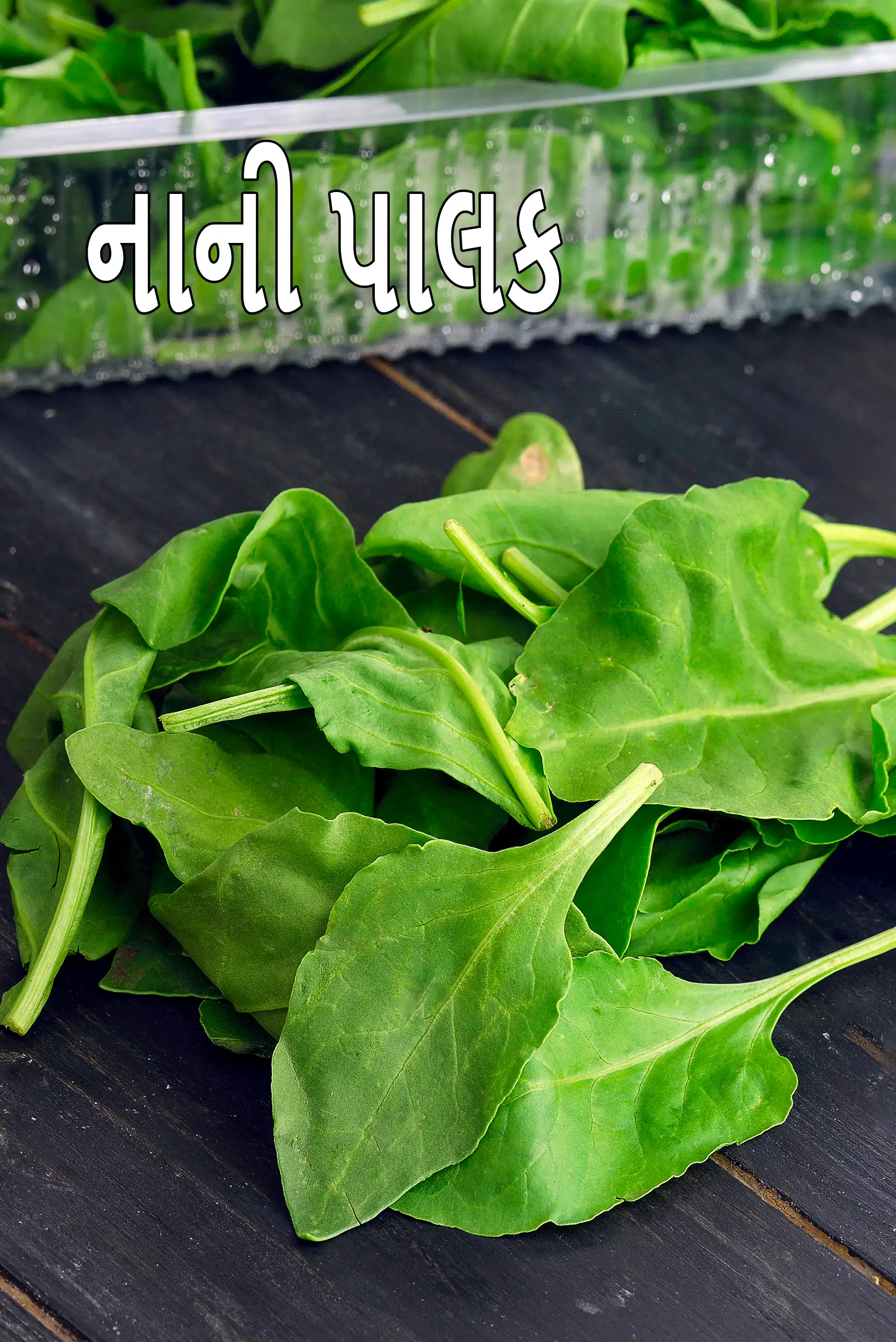 baby spinach