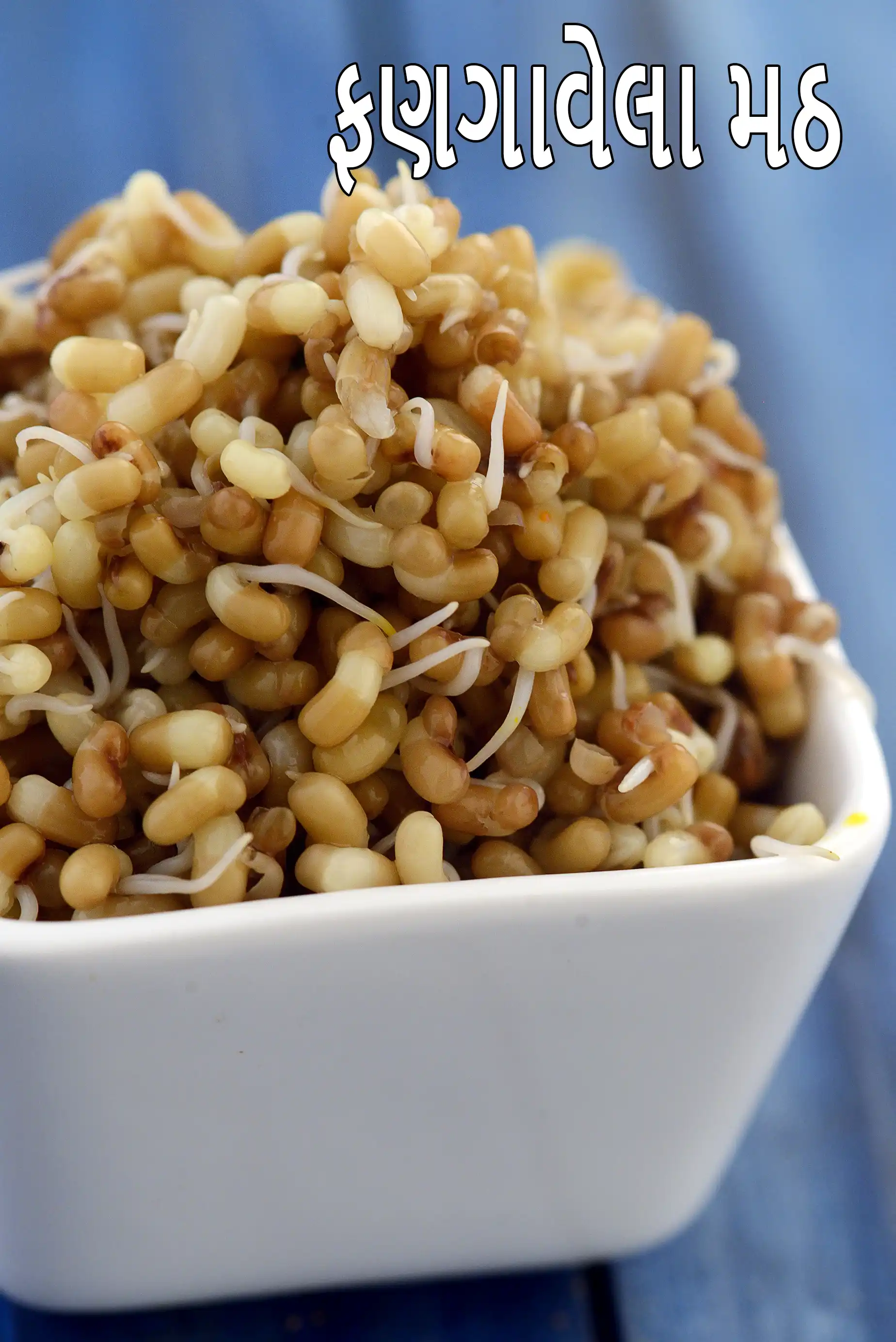 sprouted matki