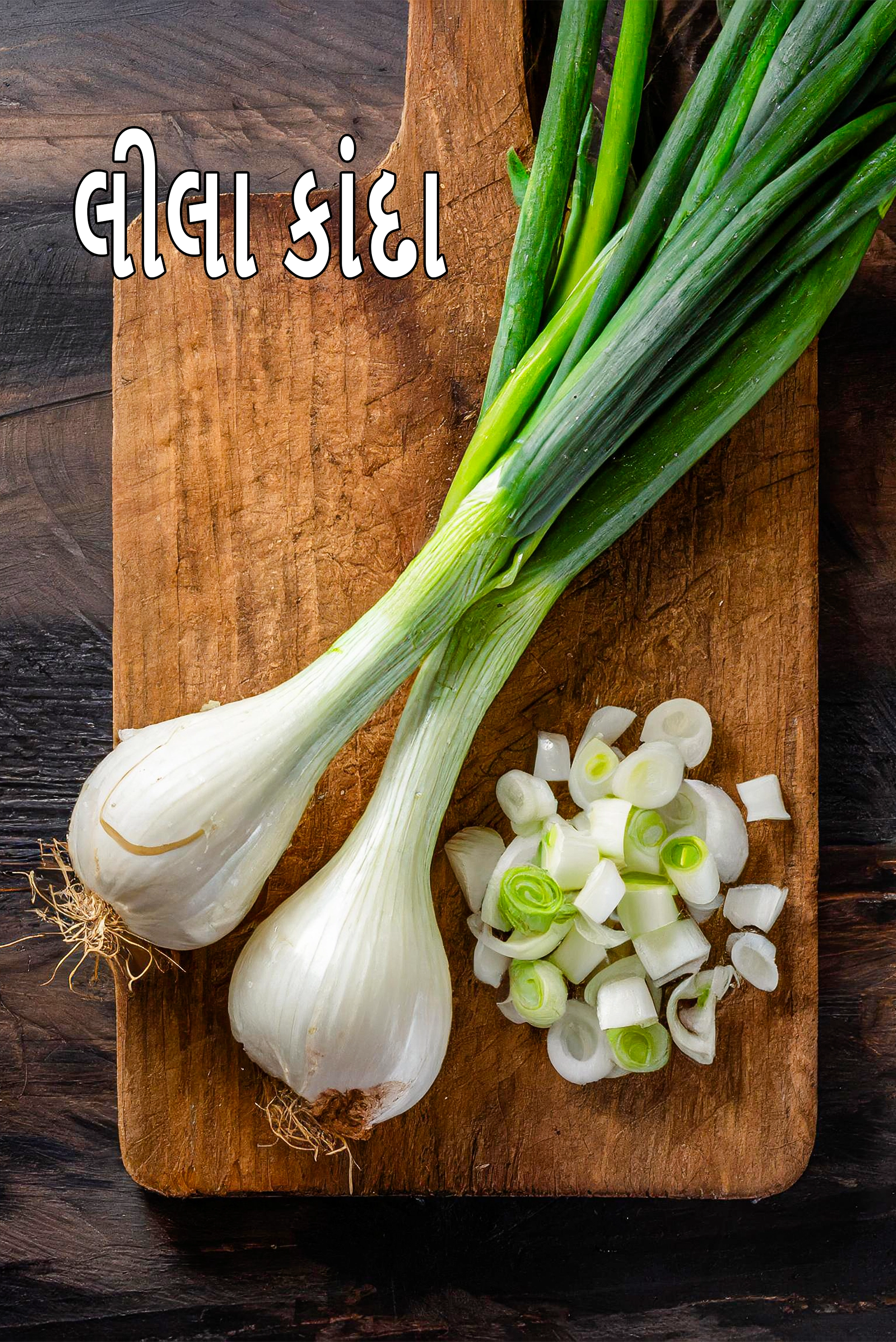 spring onion