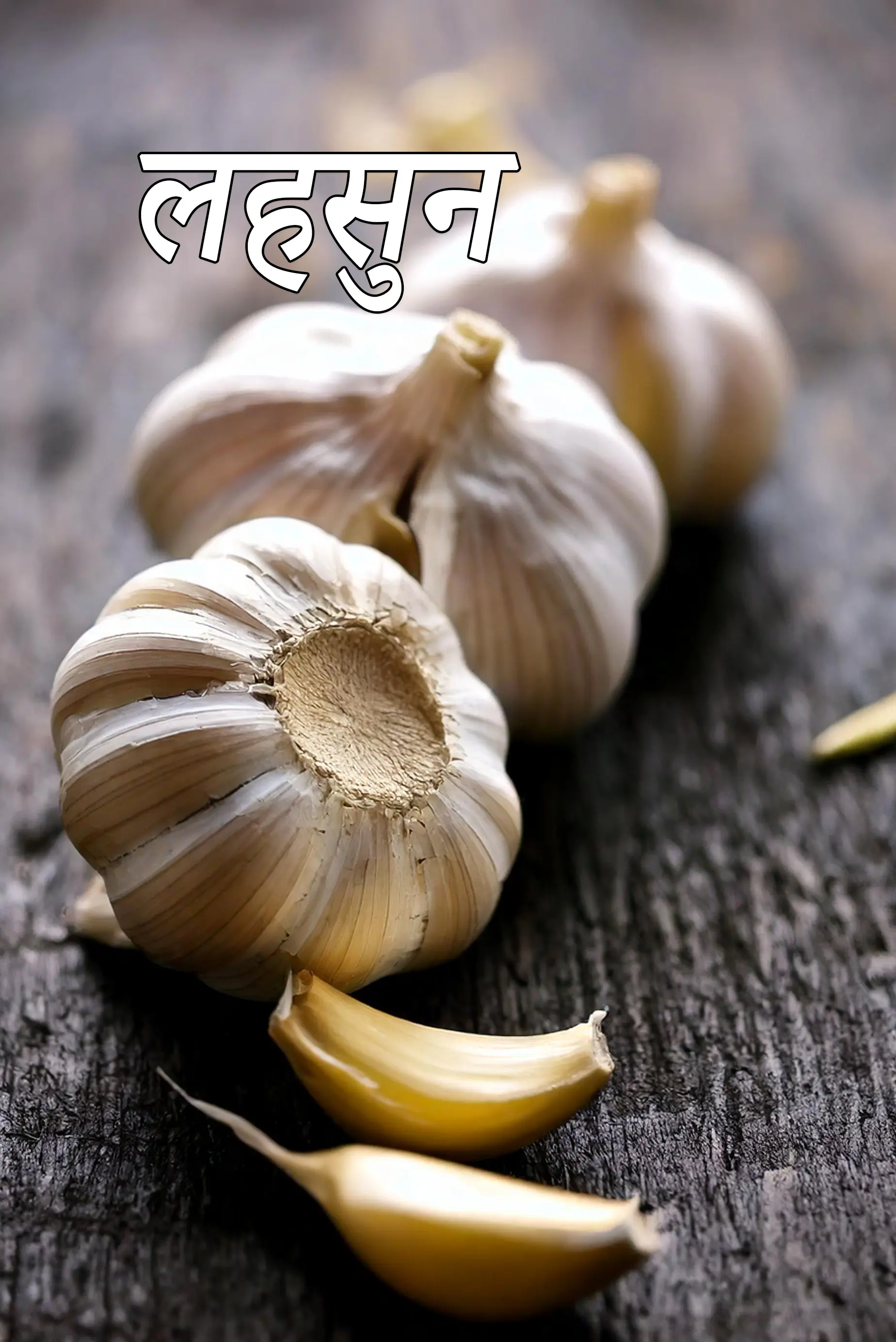 garlic