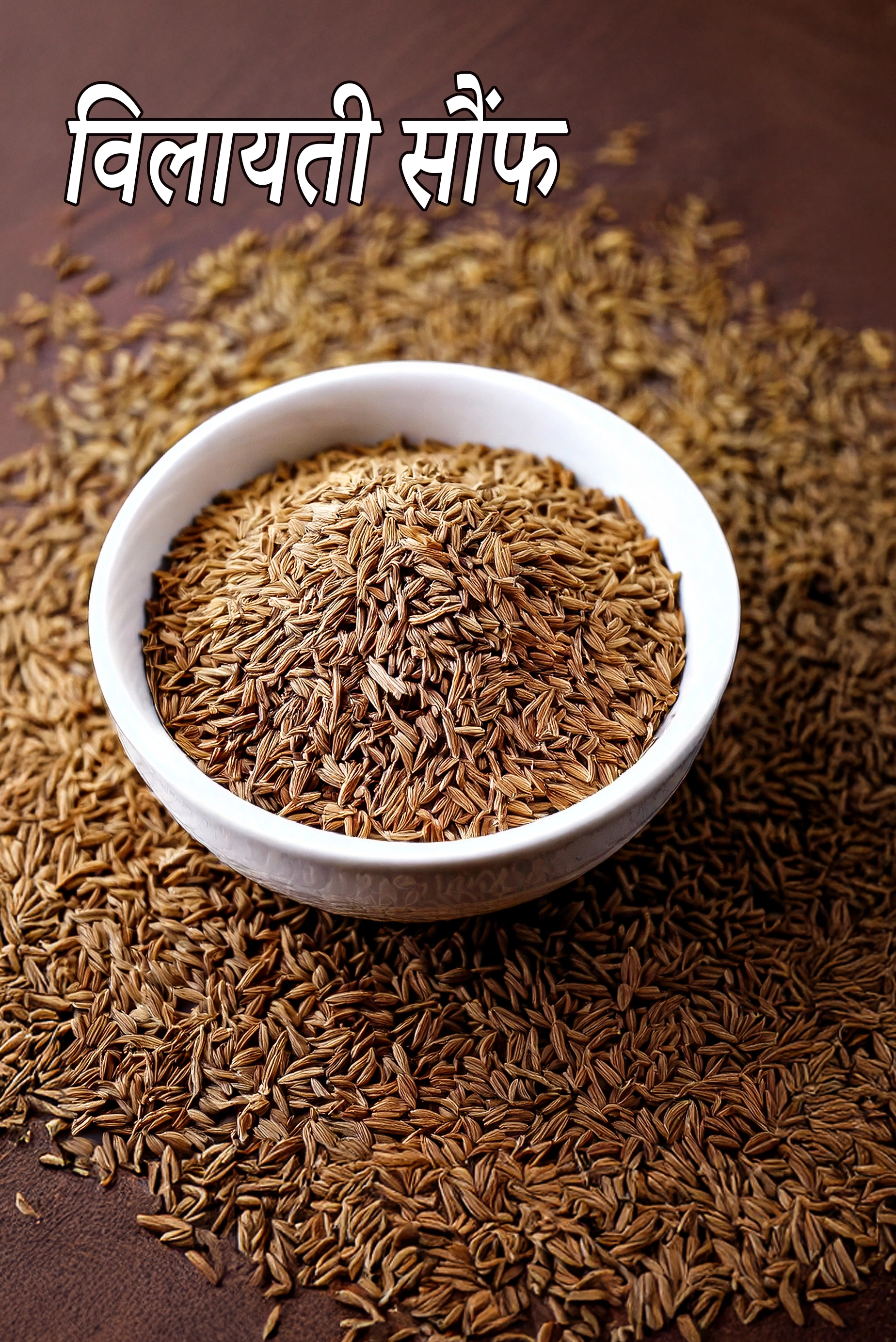 aniseed
