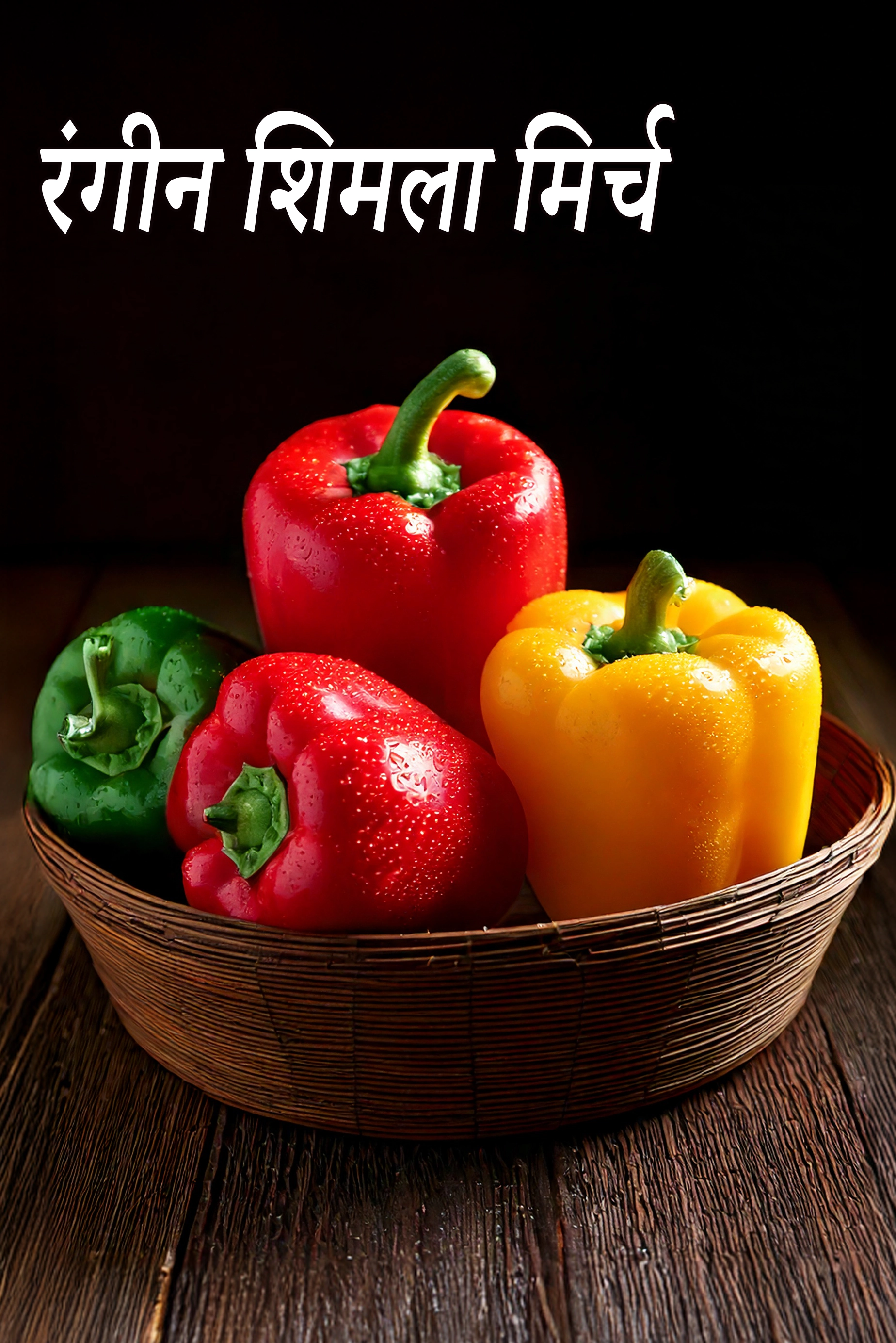 coloured capsicum