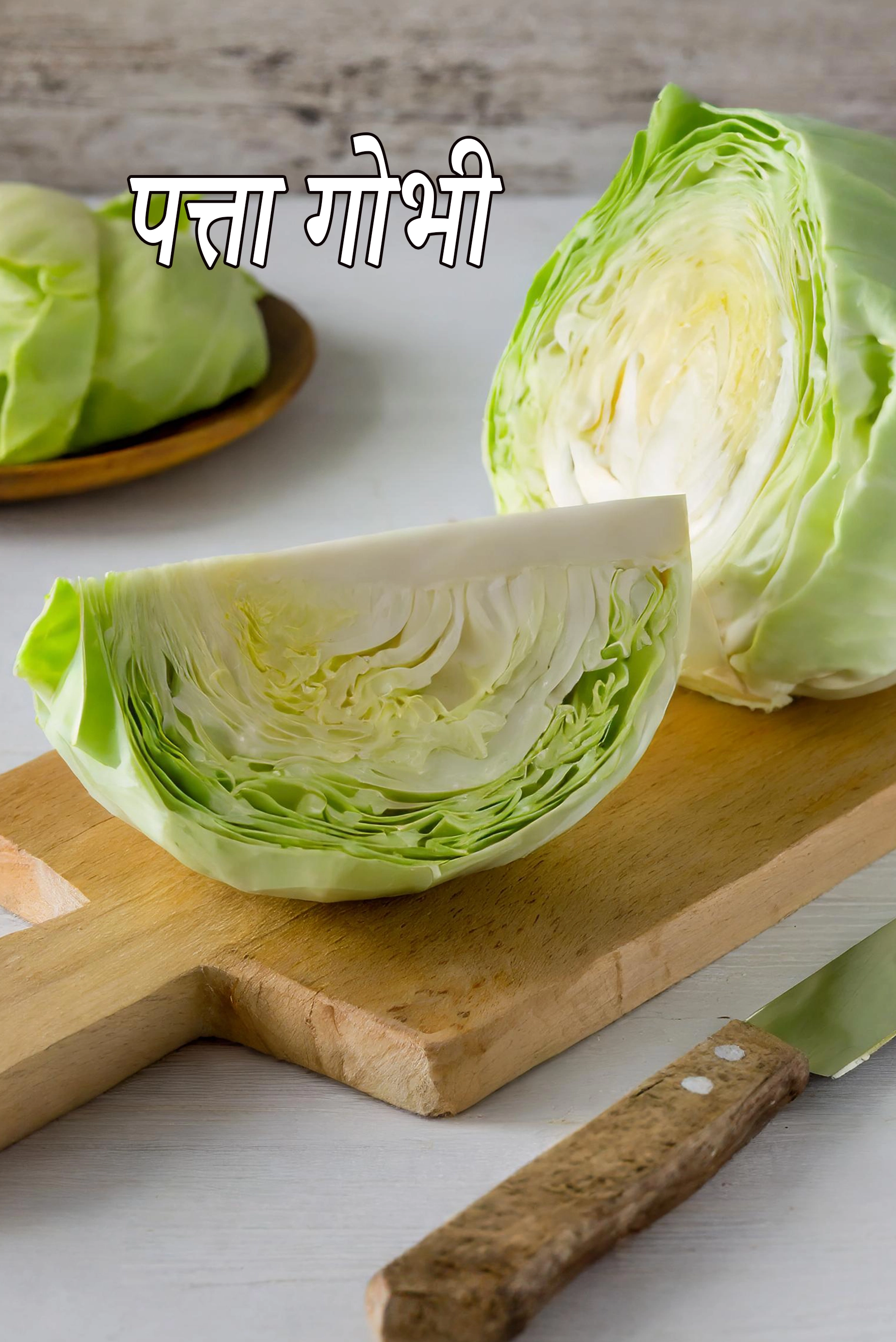 cabbage