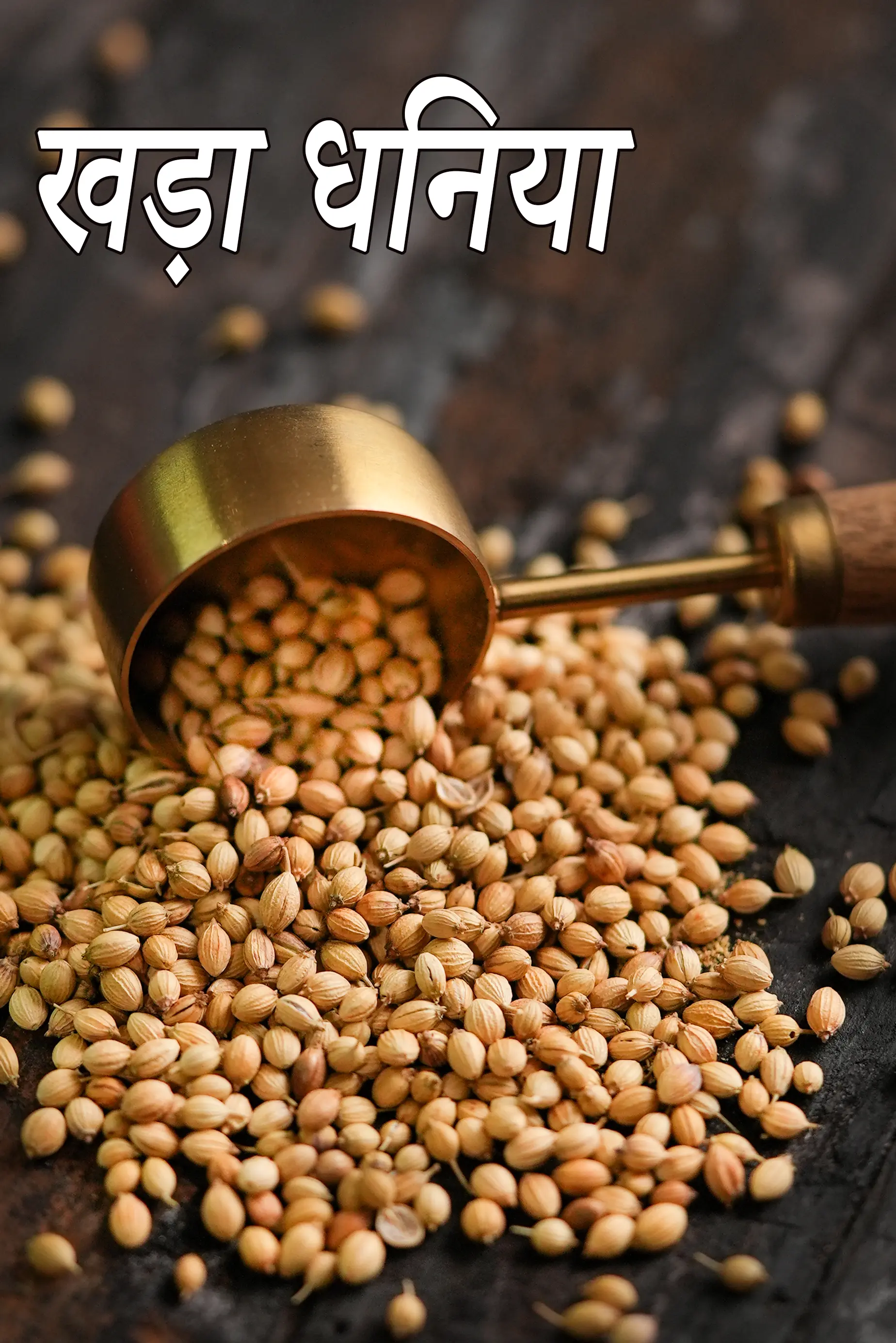 coriander seeds