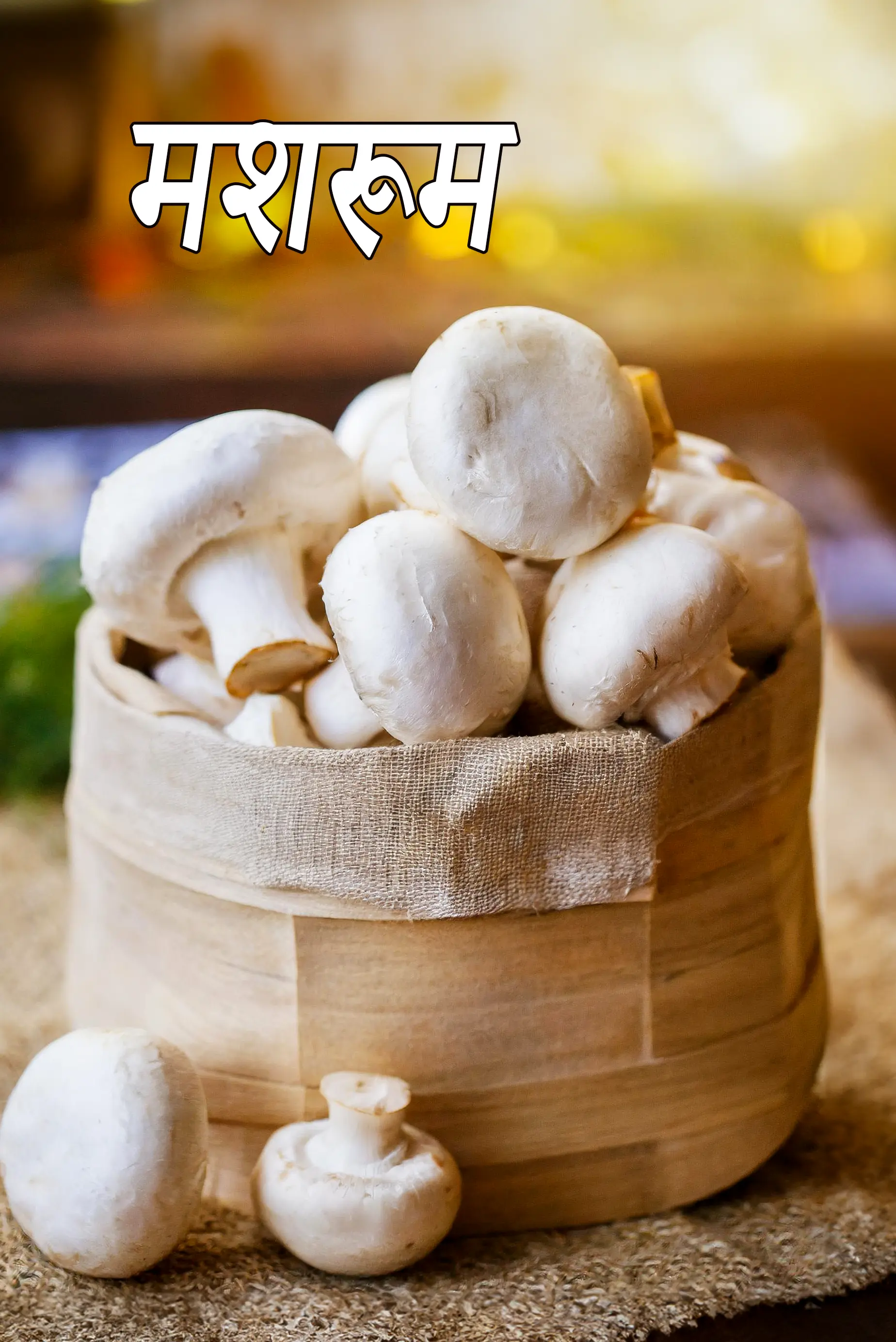 mushrooms