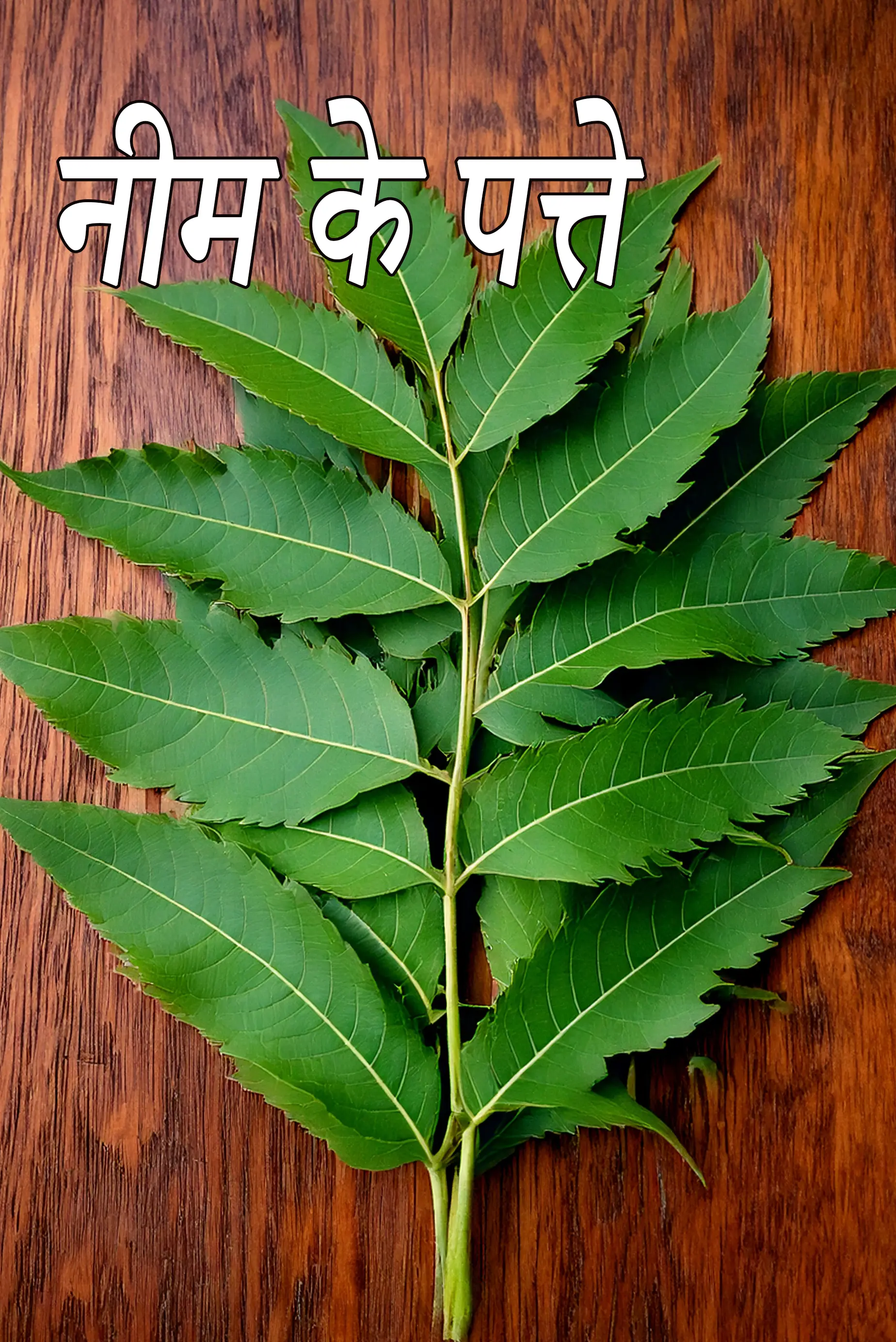 neem leaves