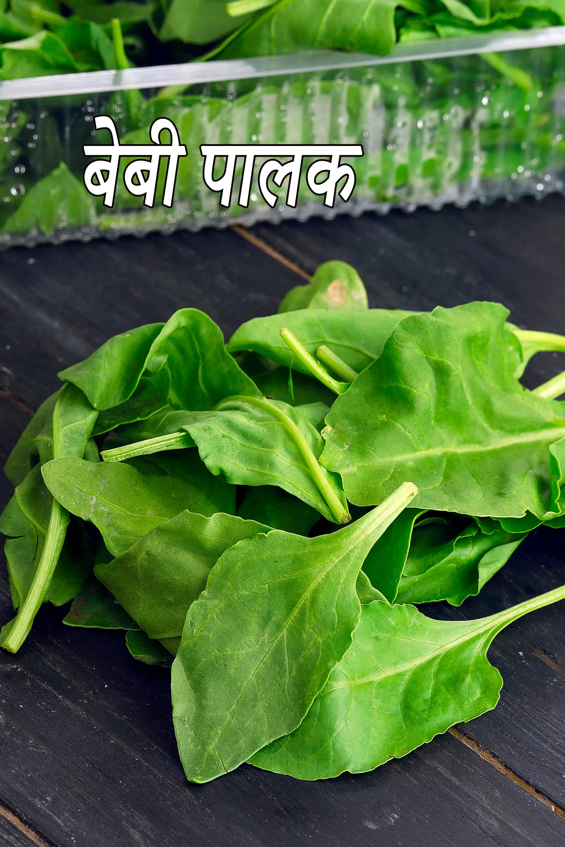 baby spinach