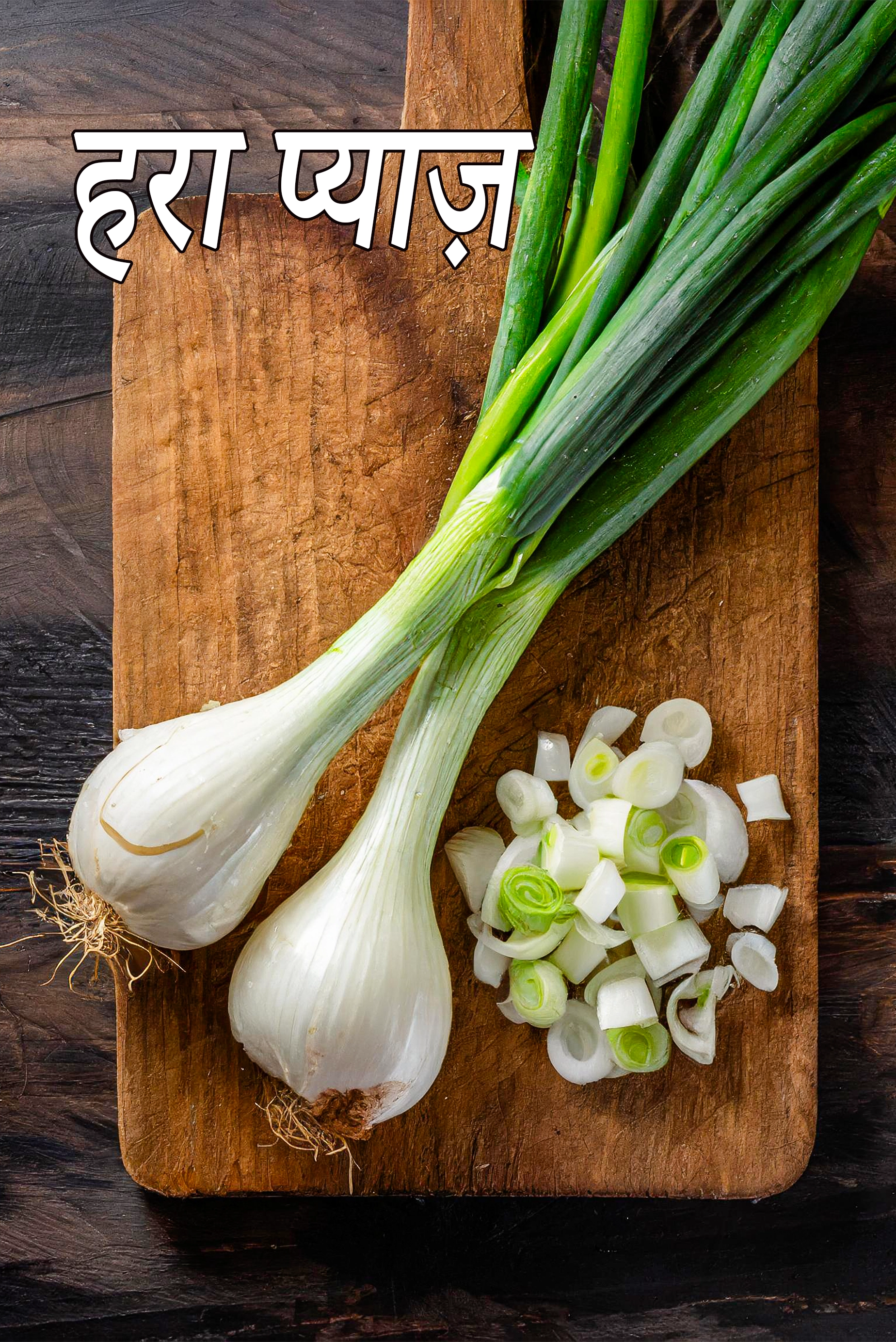 spring onion
