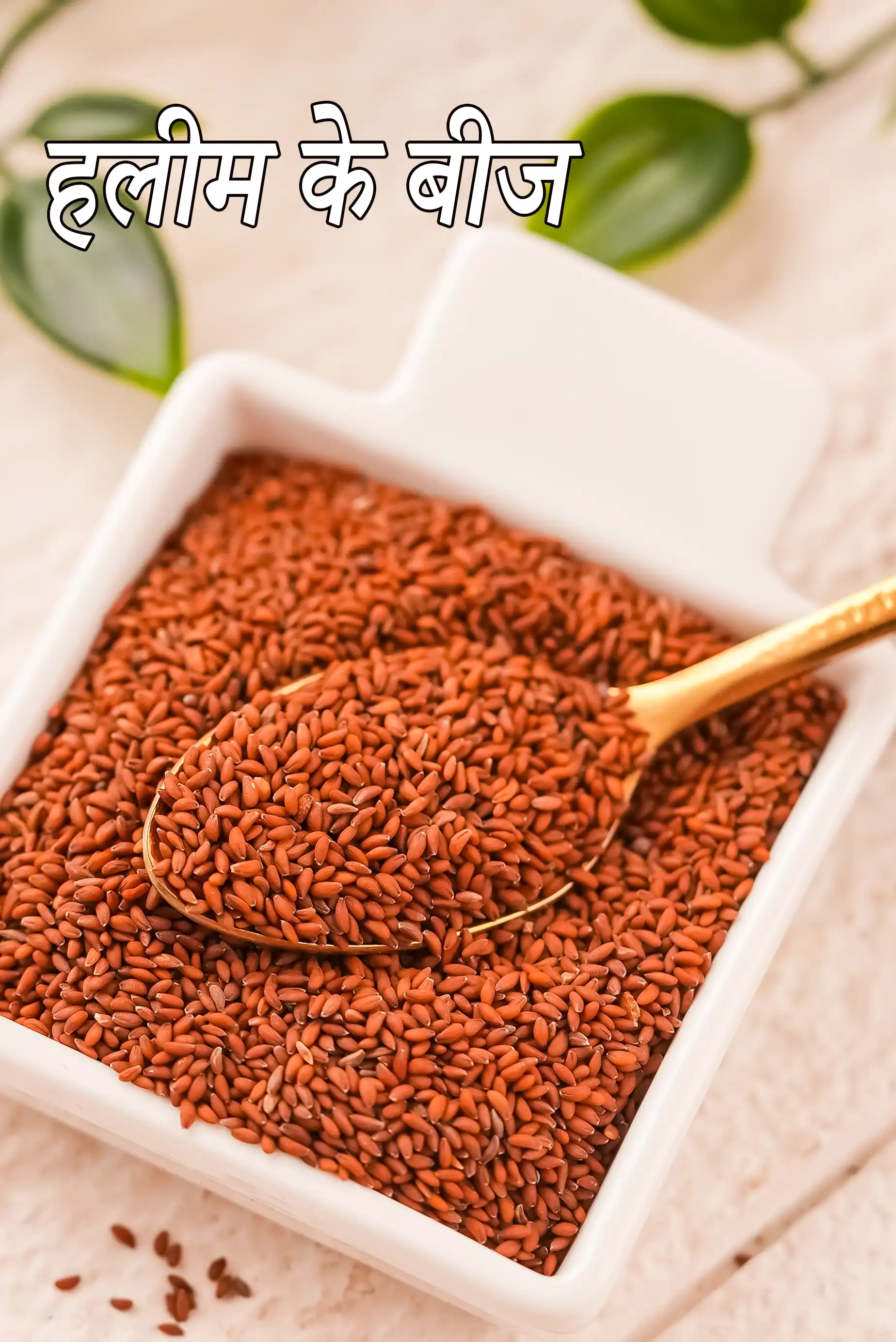 garden cress seeds