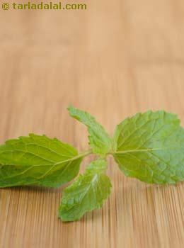 mint sprig