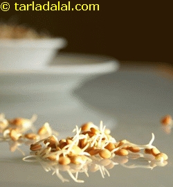 sprouted masoor
