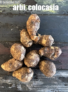 colocasia