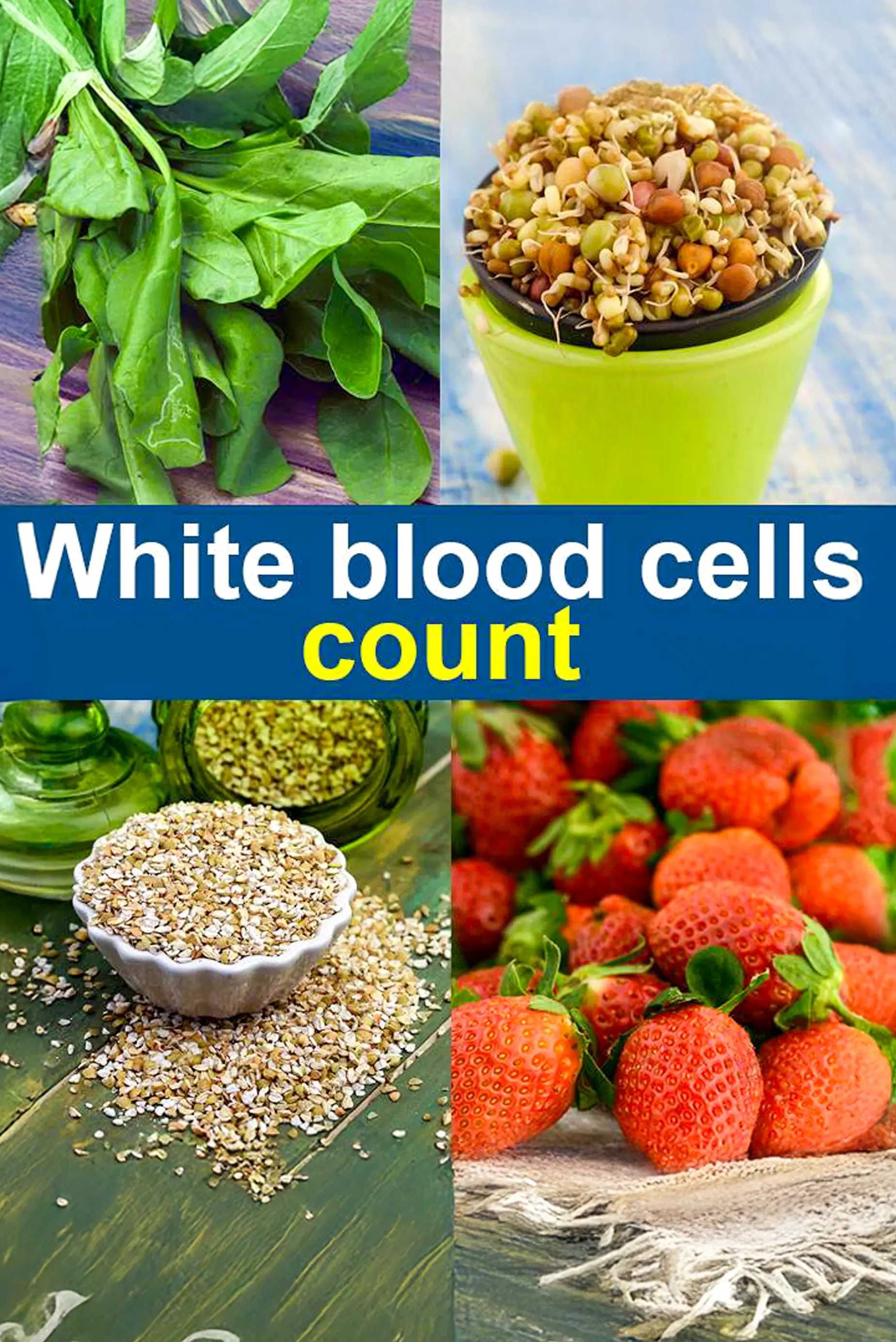 White Blood Cell Count