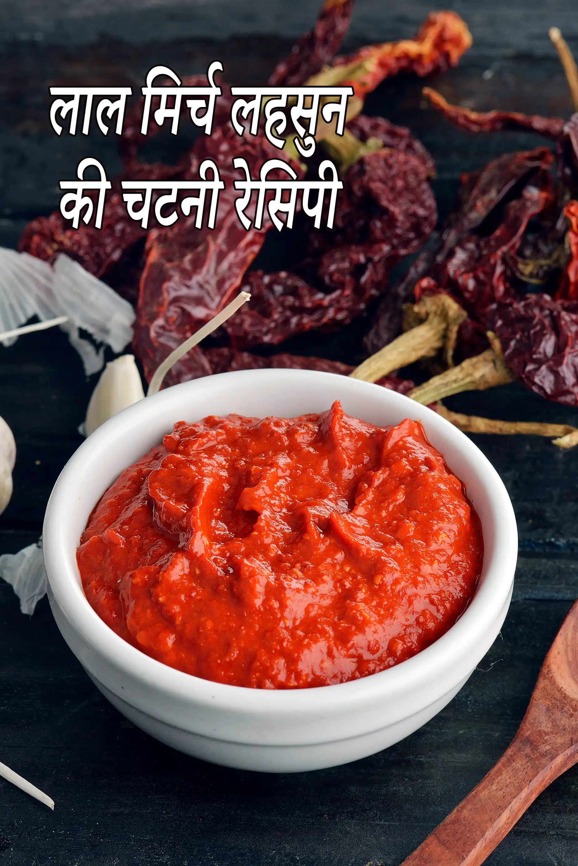 लाल मिर्च लहसुन की चटनी रेसिपी | लहसून की चटनी | chilli garlic chutney in hindi |