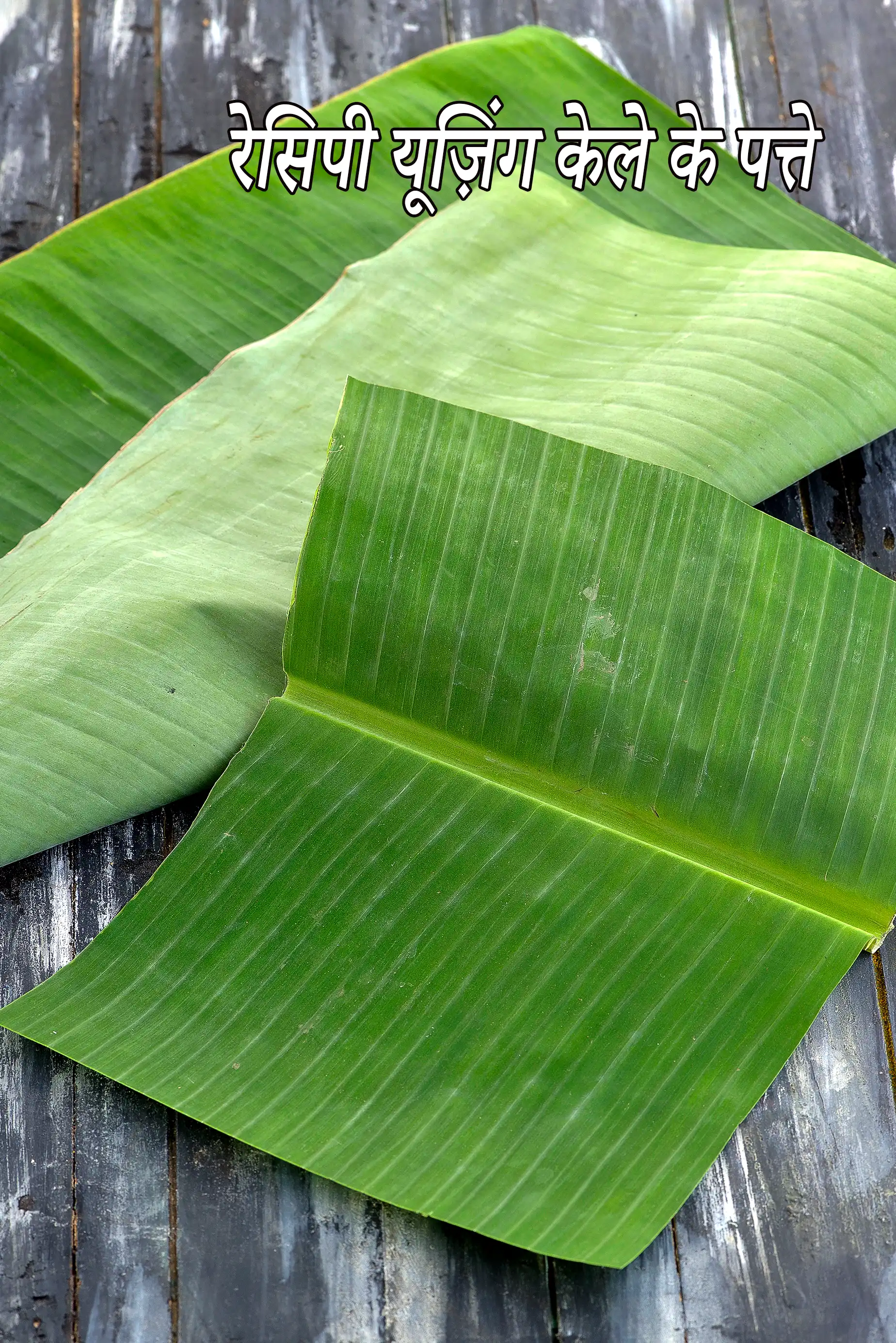 Recipes using banana leaves