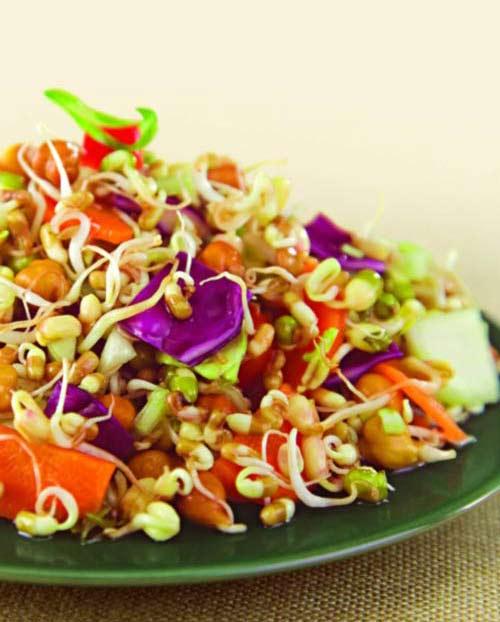 healthy salad recipes for weight loss veg