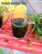 Fresh Herbal Tea, Tulsi, Mint and Ginger Drink for The Common Cold