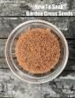 How To Soak Garden Cress Seeds