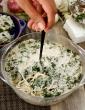 Noodle and Spinach Bake